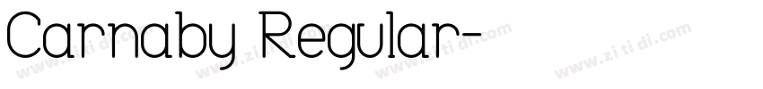Carnaby Regular字体转换
